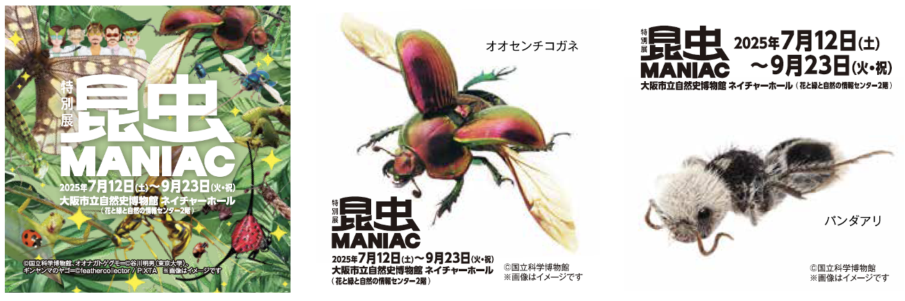 読売新聞 特別展「昆虫MANIAC」ブースを出展！ | セレッソ大阪